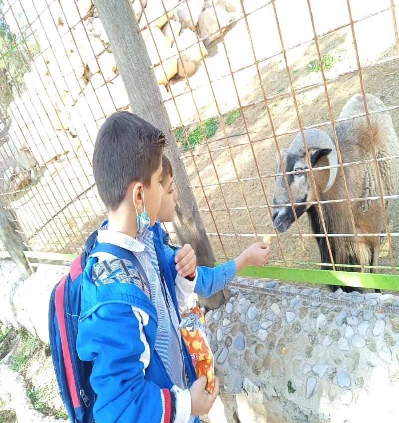 تصویر مقاله